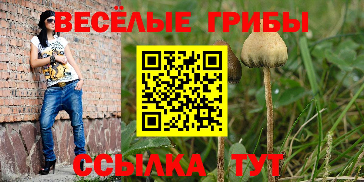 Псилоцибиновые грибы GOLDEN TEACHER Сердобск
