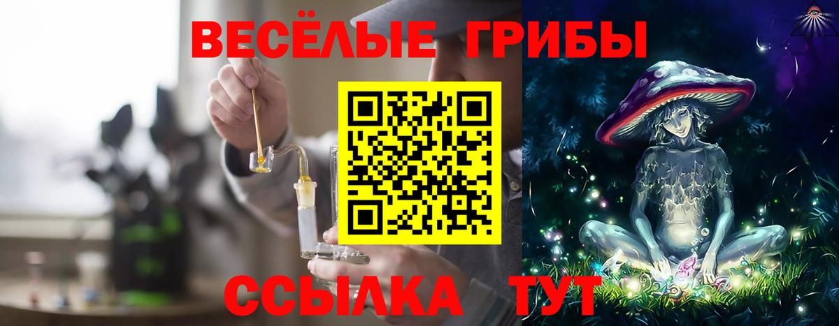 Галлюциногенные грибы Psilocybe  Вход с VPN  Галлюциногенные грибы Magic Shrooms  Сердобск 